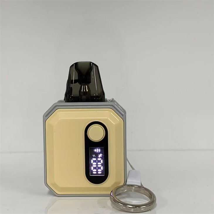 Wholesale Disposable E Cigarette 600 Puffs Rechargeable Electronic Cigarette With High Quality